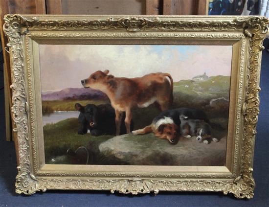 George W. Horlor (1823-1895) oil on canvas Calves and sheepdogs